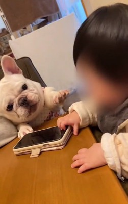 手を伸ばすはなちゃん