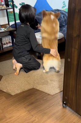 ベッドへジャンプ！