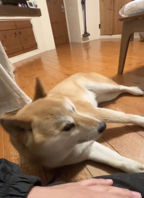 また聞こえた「おやつ」