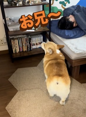颯爽と登場
