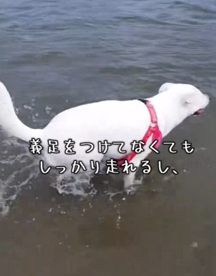 たくましく成長!!