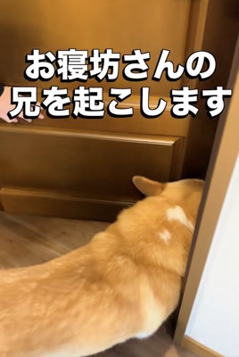 お兄ちゃんの部屋へ