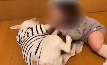 遊ぶふたり