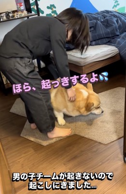 もう一度お願いされるジッさん
