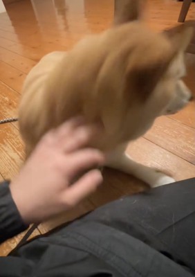 ザッ！