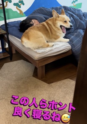 どぁーー！