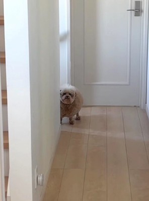 ちらっとのぞく…