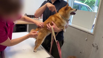 驚いて大絶叫！！