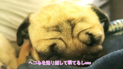 不貞寝しています