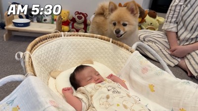 「おはよう♪今日も可愛いな～」