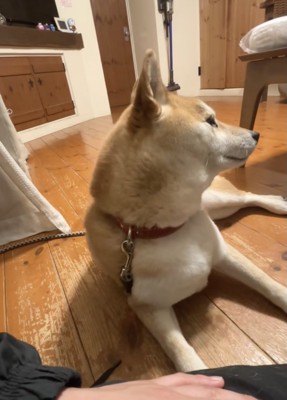 ママの言葉に耳を傾けます