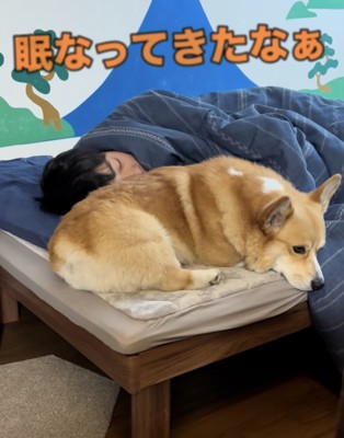 お兄ちゃんと二度寝…