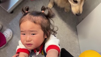 心配でたまらない…