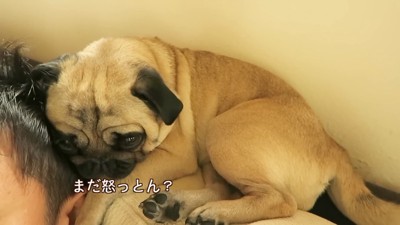 「まだ怒ってる?ごめんなさい…」