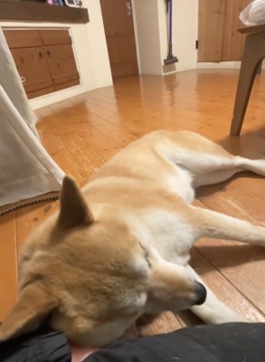 まるでコントのよう