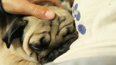 もう怒っていないとわかって一安心♪