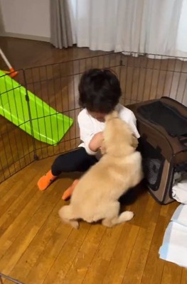 初対面のふたり