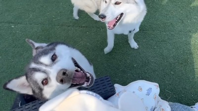 赤ちゃんを気にかけながら遊ぶ2匹