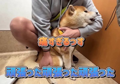 「痛かった…！」