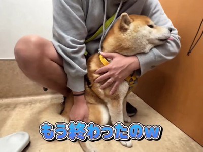 注射は終わったのに…