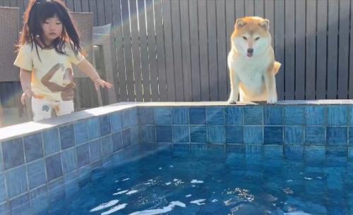 プール