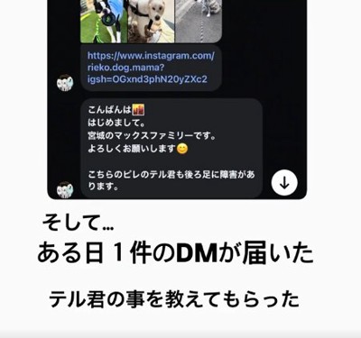 DM