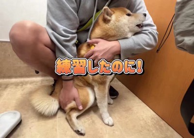 イメージと違った！？