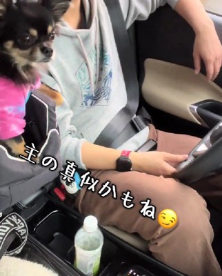 飼い主さんの真似！？