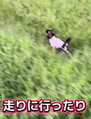 外遊びも大好き