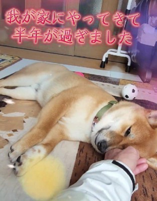 半年が経過したけど…