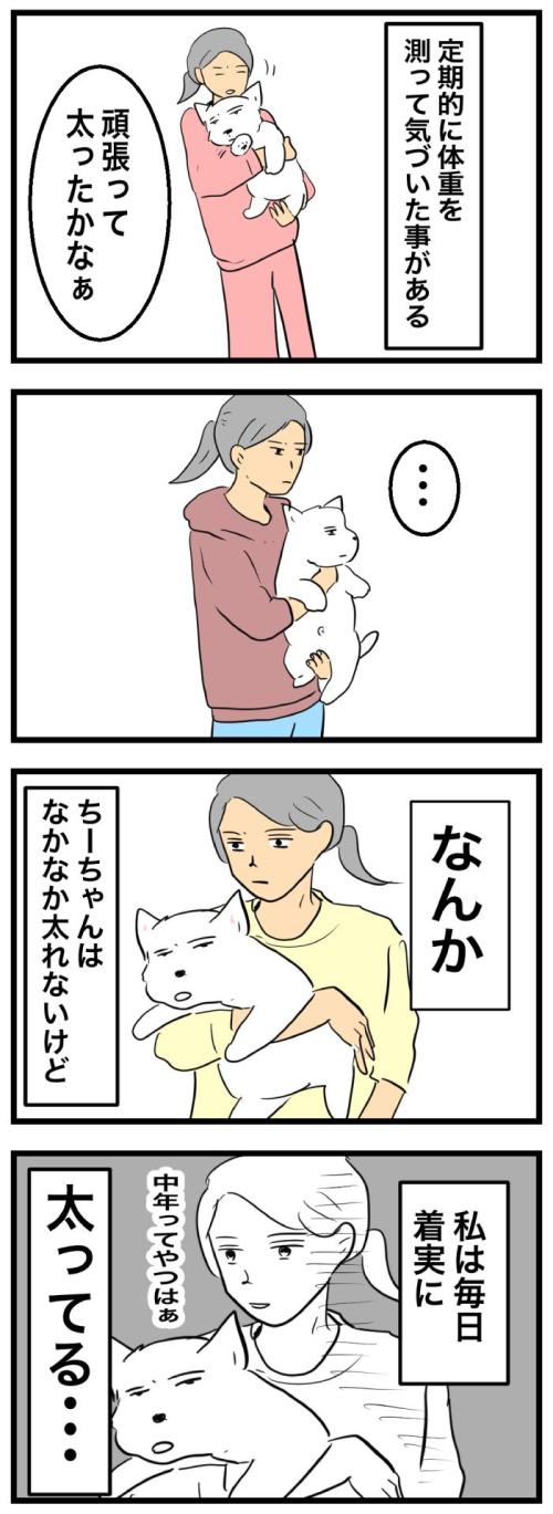 ちーちゃんですけどもっ【第363<br /> 話】　2