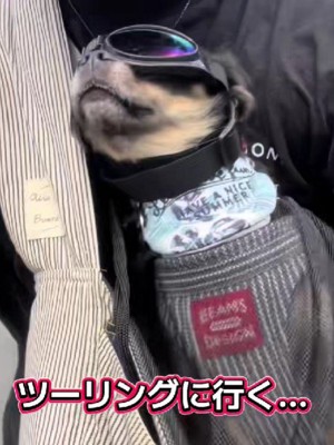 アウトドア派なだんくんでした