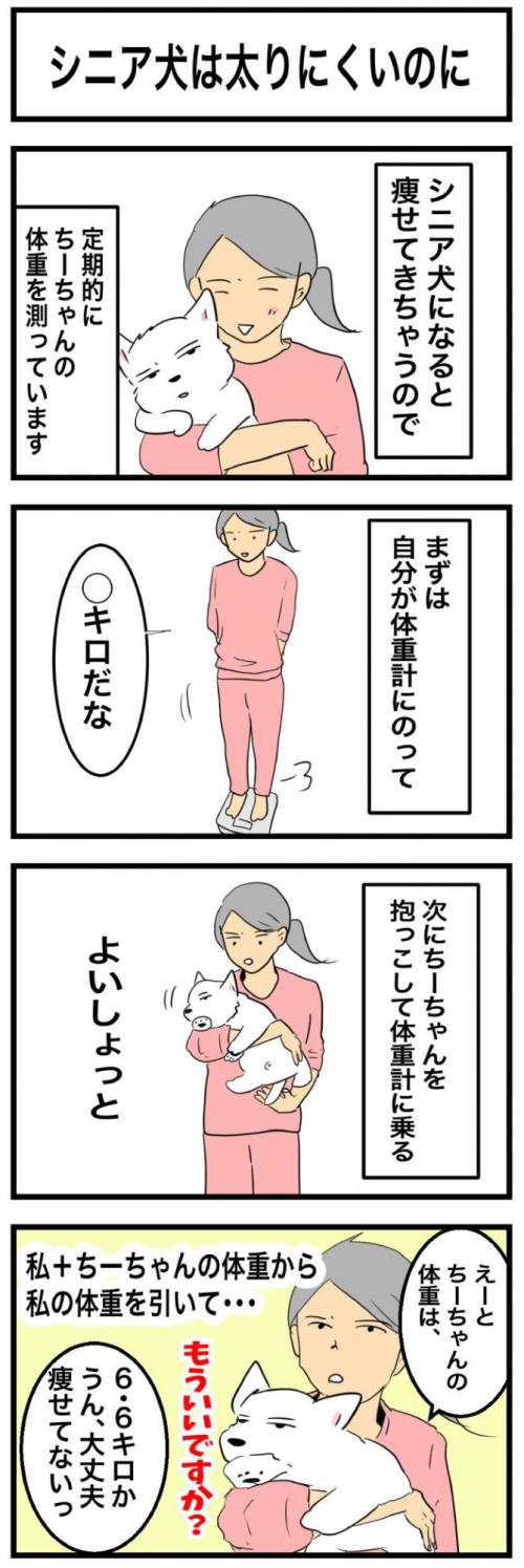 ちーちゃんですけどもっ【第363<br /> 話】　1