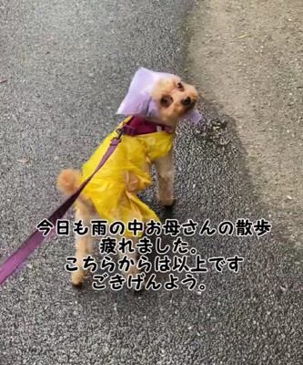 雨の日限定スタイルです♡