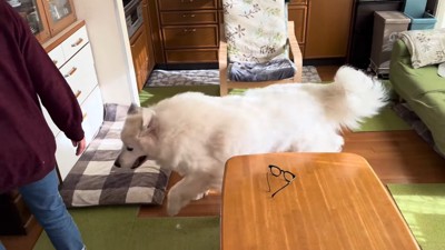 ドレミちゃんが部屋の外へ