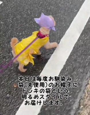 絶妙なカラーコンビが素敵!