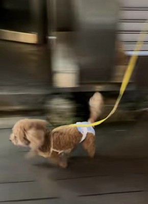自力で走れるように！！