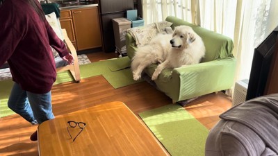 「♪お散歩だ～」と歌いながら足踏み