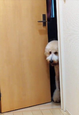 「そろそろ行く？」