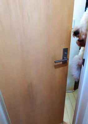 ドアがゆっくり開き始めた