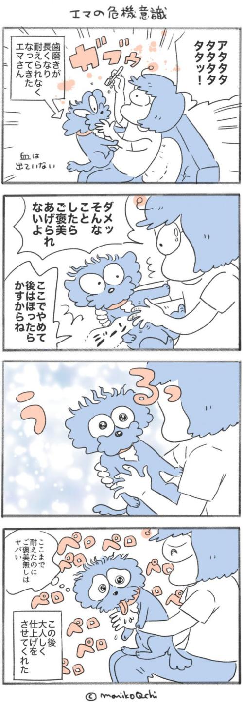 犬と暮らせば【第544話】