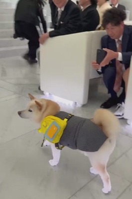 会場は笑顔に包まれたそう