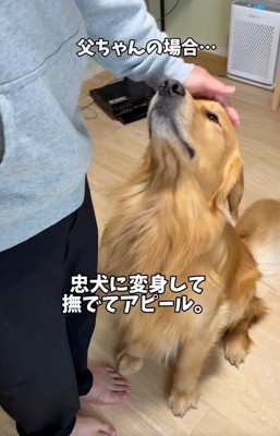 忠犬に変身したアルトくん