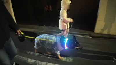 一緒にお散歩