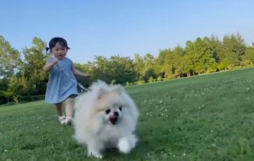 容赦なく走り続けるわんこ
