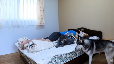 守るように寄り添うきゅうちゃん
