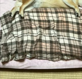枕