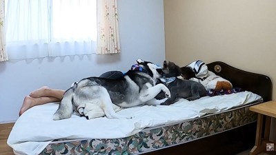 場所の取り合いスタート！