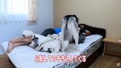 「大丈夫？」