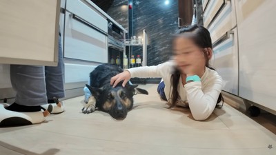 親友になれたようです♡